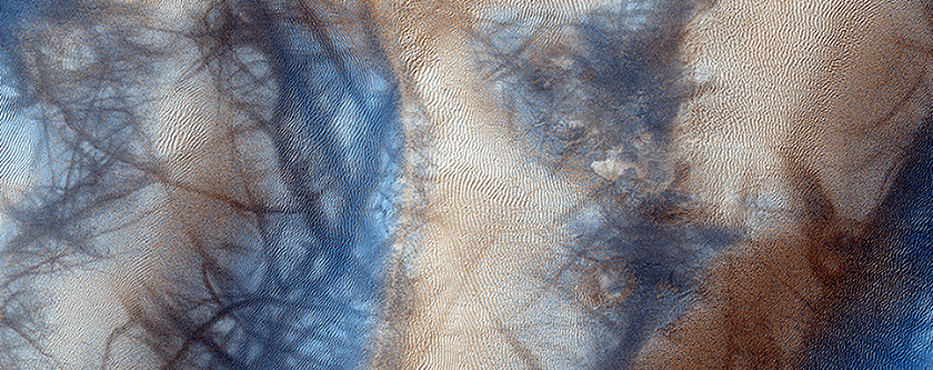 More evidence of a dynamic Mars is revealed at the edge of a martian dune field.