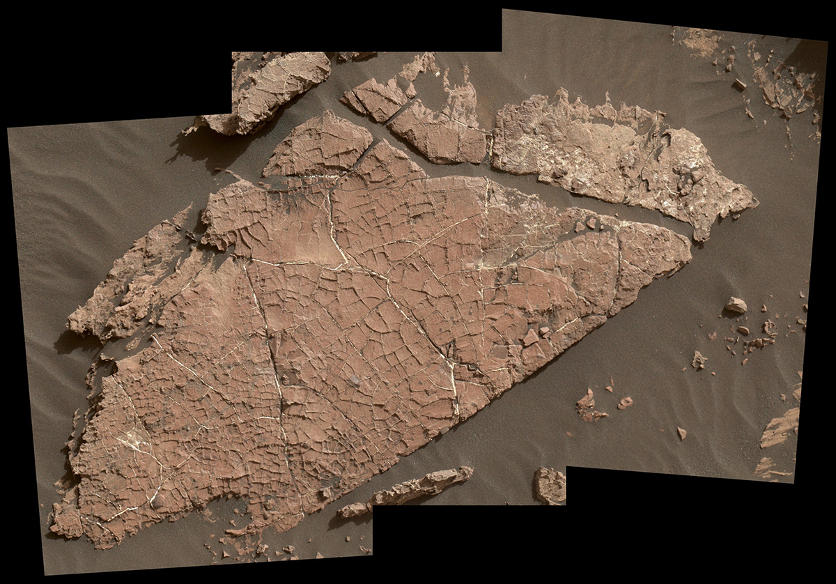 Possible Mud Cracks Preserved in Martian Rock